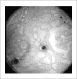 20120531133316_6890.gif